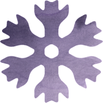 snabbare 300x300